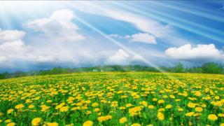 طقس الخميس | جو مستقر وسماء صافية بمعظم مناطق المملكة