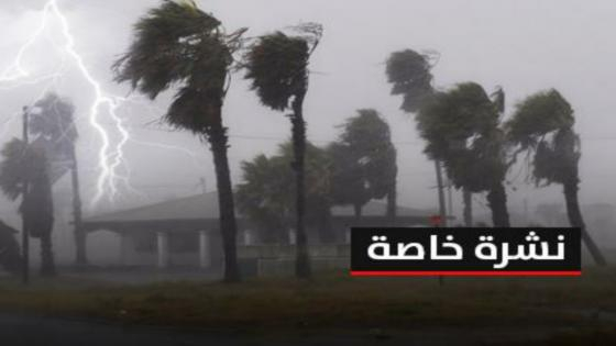 نشرة خاصة | أمطار رعدية ورياح قوية بعدد من مناطق المملكة