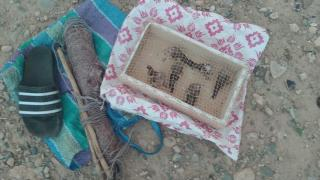 جرسيف | توقيف شخص متلبس بحيازته طائر ” الحسون” المحظور صيده + صور