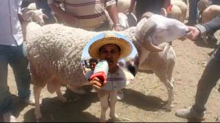 جرسيف | إرتسامات بائع أغنام برحبة المواشي بالسوق الأسبوعي يوما واحدا قبل عيد الأضحى المبارك + فيديو