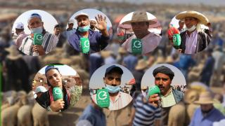 من رحبة المواشي بالسوق الأسبوعي لجرسيف | الباعة يطمئنون الساكنة حول أسعار الأضاحي و جودتها + فيديو