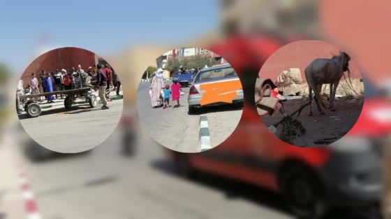 جرسيف | إصابة 04 أشخاص في إصطدام سيارة خاصة بعربة مجرورة بشارع عبد الكريم الخطابي “النكد” + صور