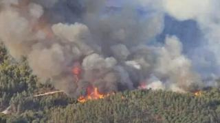 إقليم جرسيف | توقيف 03 أشخاص لتورطهم في إشعال النيران بغابة بوزليفن بجماعة مزكيتام