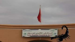 إقليم جرسيف | لذغة عقرب ترسل فتاة في ربيعها السادس عشر للمستشفى الإقليمي