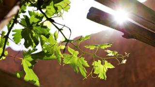 نشرة خاصة | موجة حر شديد بالمغرب إبتداءا من اليوم بعدة أقاليم من بينها جرسيف