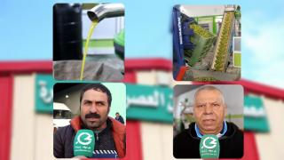 إقليم جرسيف | صناعة زيت الزيتون .. قطاع حيوي و إقبال مستمر من الفلاحين رغم ندرة الأمطار + فيديو