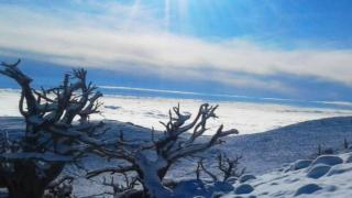 جماعة بركين.. دواوير تحت رحمة الزائر الأبيض و قسوته| صور و فيديو