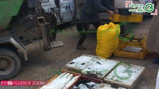 جرسيف .. حصري و بالصور | عناصر الدرك الملكي تحجز حمولة سمك فاسدة كانت متجهة للتسويق بدوار زبزيط