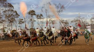 اليوم الأربعاء | “اليونسكو” تدرج “التبوريدة” المغربية ضمن قائمة التراث العالمي غير المادي + صورة