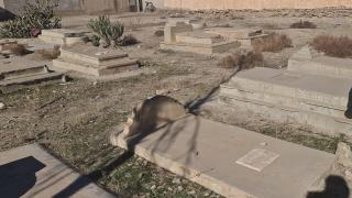 جرسيف | الشروع في نقل رفات قبور النصارى لمدينة فاس + صور