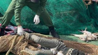 قبالة سواحل الحسيمة | قارب ينتشل جثة بشرية علقت بشباك الصيد