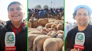 جرسيف | جولة برحبة المواشي بالسوق الأسبوعي تقربكم من أثمنة الأضاحي وهذه هي إرتسامات الباعة + فيديو