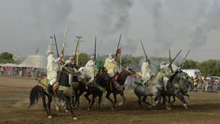 إقليم جرسيف | مهرجان التبوريدة بتادرت في نسخته 2 يحيى تقاليد الفروسية و التراث + صور وفيديو