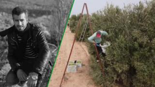 سقط من شجرة زيتون | وفاة شاب جرسيفي متأثرا بإصابته في المستشفى الجامعي بوجدة