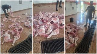 الناظور | الدرك الملكي يحجز 423 كيلوغراما من اللحوم الفاسدة