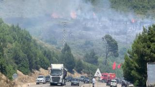 تطوان | اعتقال ثلاثيني تسبب في اندلاع حرائق واسعة بغابة عين الحصن