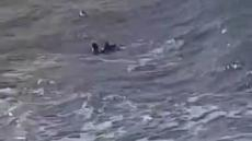 رأس الماء | عنصر من الوقاية المدنية يختفي في البحر بعد إنقاذ شابة