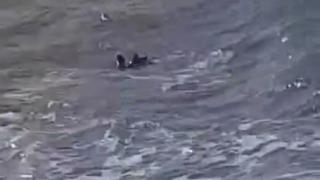 رأس الماء | عنصر من الوقاية المدنية يختفي في البحر بعد إنقاذ شابة