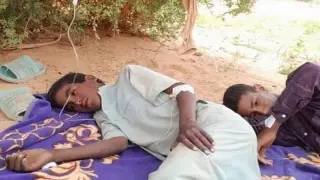 مئات الإصـ.ـابات وعشرات الوفـ.ــيات | وباء ملاريا يفـ.ــتك بولايات جنوب الجزائر + صور