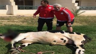 مسؤولي الإتحاد المصري لكرة القدم