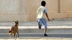 مأساة | كلاب ضالة تنهش جسد طفل حتى الموت نواحي “الصخيرات”