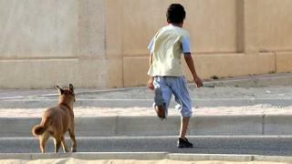 مأساة | كلاب ضالة تنهش جسد طفل حتى الموت نواحي “الصخيرات”