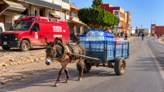 الصورة مولدة بالذكاء الإصطناعي 