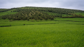 الصورة | جرسيف زووم