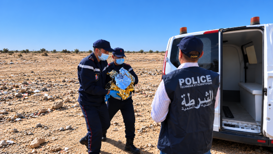 الصورة مولدة بالذكاء الاصطناعي