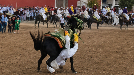 صورة | أرشيف جرسيف زووم 