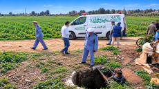 الصورة مولدة بالذكاء الإصطناعي