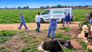 الصورة مولدة بالذكاء الإصطناعي