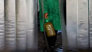 الفقيه بنصالح | ضبط 09 أطنان من الزيوت المغشوشة داخل معصرة