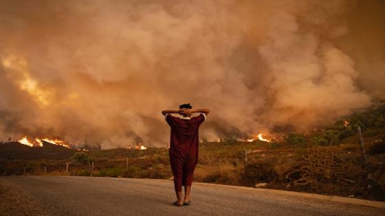 “موسم الحـ.ـرائق” ينطلق بالمغرب | ألسنة اللهب تلتهم 20 هكتارا بإقليم طنجة