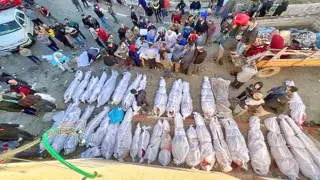 فلسطين | إستشهاد 11 مغربيا من بينهم سيدة وأبناءها الأربعة في قصف مدرسة الفاخورة بغزة