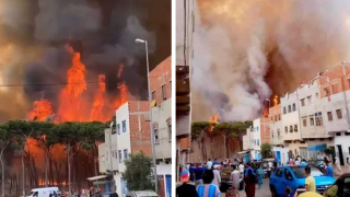 حرائق العرائش | إجلاء 246 أسرة و النيران تلتهم أزيد من 800 هكتار من الغطاء الغابوي