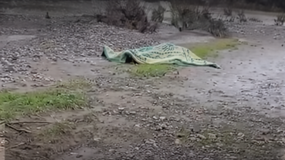 إقليم تاونات | سيول وادي “تهرييس” تودي بحياة شخص