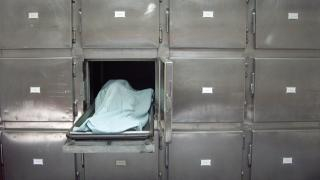 الصورة تعبيرية