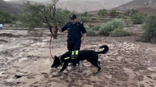 إقليم تزنيت | فقدان شخصين وإنقاذ إثنين آخرين إثر فيضان وادٍ