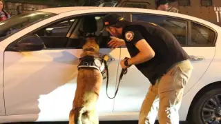 عطلة تتحول إلى كابوس | إختطاف زوجين مغربيين من طرف عصابة بتركيا