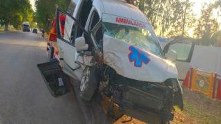 مأساة | كلب يتسبب في إنقلاب سيارة إسعاف ومقتل مرافق سائقها