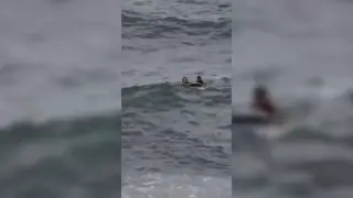 وصلا إلى سبتة سباحةً | أمّ مغربية تخاطر مع طفلها بحثا عن حياة أفضل