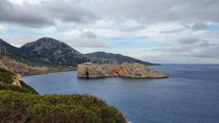 “إلموندو” الإسبانية | عناصر البحرية المغربية توقف 8 مهاجرين بجزيرة “ليلى”