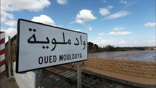 بنسبة 147% | إرتفاع بمعدل التساقطات المطرية بالجهة الشرقية وهذا نصيب إقليم جرسيف